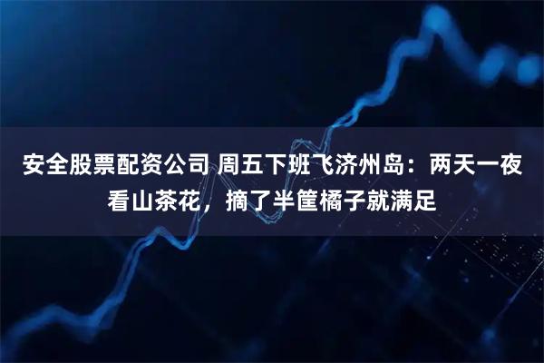 安全股票配资公司 周五下班飞济州岛：两天一夜看山茶花，摘了半筐橘子就满足